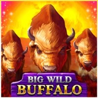 Logo of Big Wild Buffalo from Belatra Games at VeloBet Casino